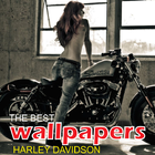 harley davidson bikes hd wallpapers icon