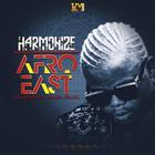 Harmonize Afro-East أيقونة