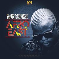 Harmonize Afro-East الملصق