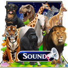 Animals Sounds, Speak Names &  আইকন