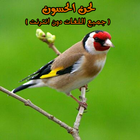 لحن الحسون(جميع اللغات دون نت) আইকন