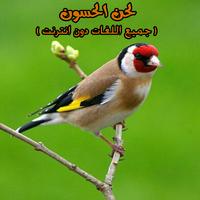 لحن الحسون(جميع اللغات دون نت) Plakat