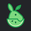 BurroLoop: Video Looper APK