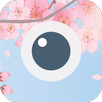 春(The Bom) APK