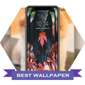 cute Dogs Live Wallpapers 4K