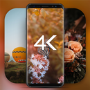 Wallpaper Full HD APK