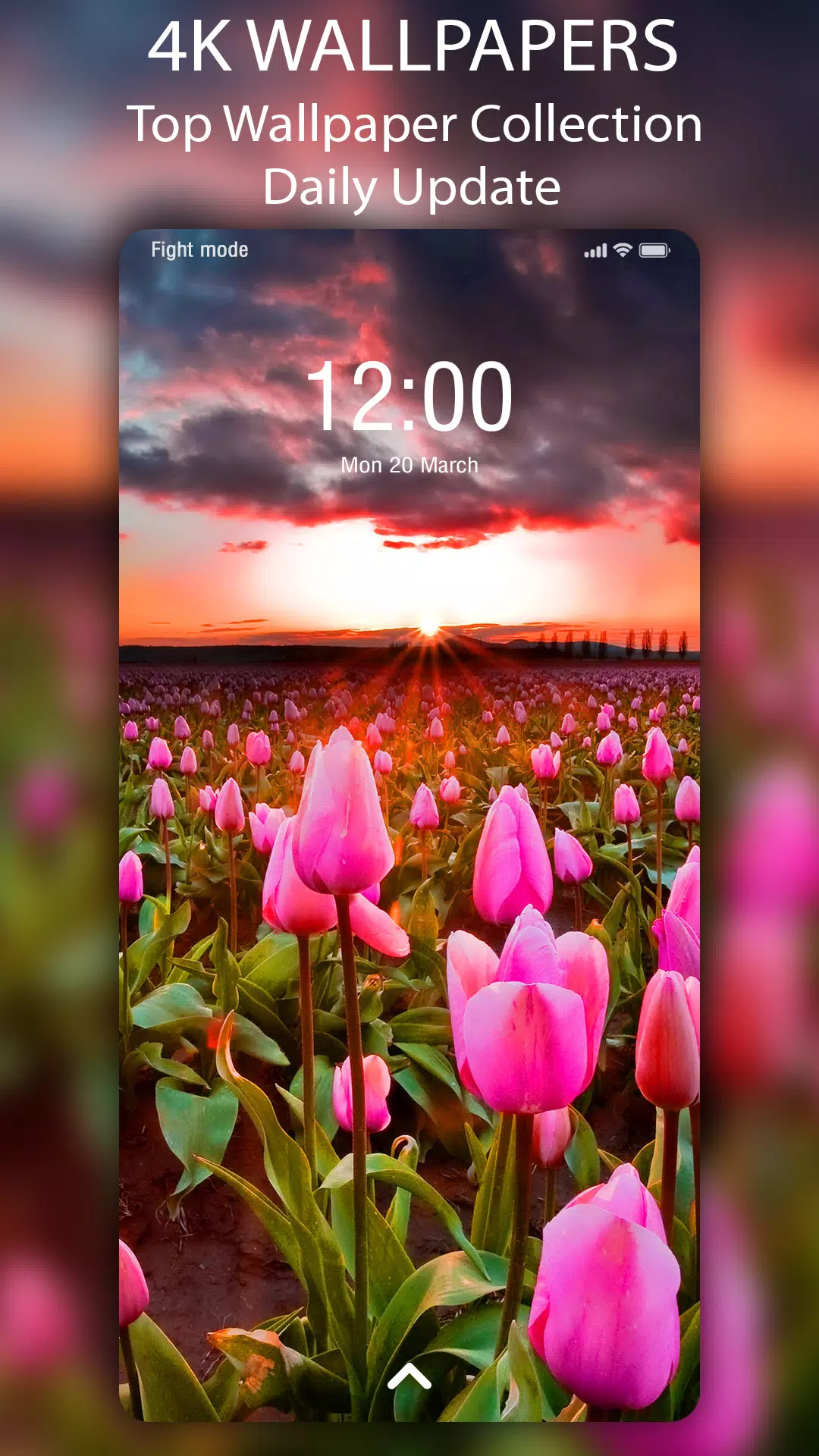 🌺 Flower Wallpaper - Auto Change Wallpaper APK for Android Download