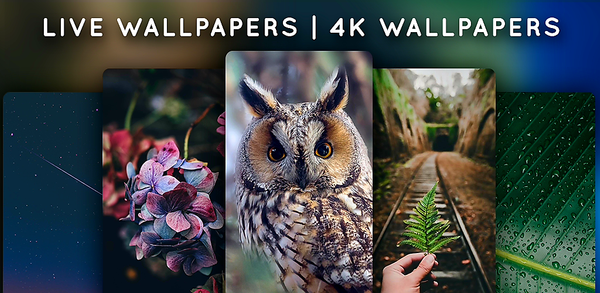 How to Download Live Wallpapers, 4K Wallpapers on Mobile image