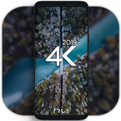 4K Wallpapers - Auto Wallpaper Changer v3.1.3 MOD APK (Pro) Unlocked (5.3 MB)