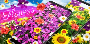 Flowers live wallpaper