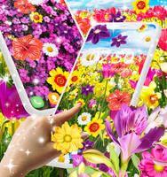 Flowers live wallpaper 스크린샷 2