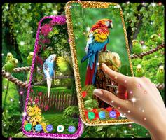 Live wallpapers birds Affiche