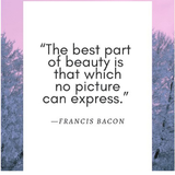 Девушка цитаты APK