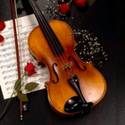 Icona Sfondi di violino