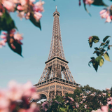 Eiffel Taper Paris Wallpapers