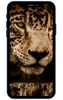 Jaguar Wallpapers اسکرین شاٹ 3