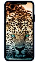 Jaguar Wallpapers پوسٹر