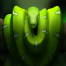 Snake The Best Free Game APK