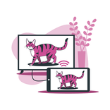 Connect Mobile to TV USB HDMI