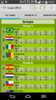 Copa 2014 ảnh chụp màn hình 1