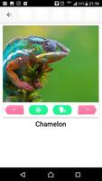 برنامه‌نما Learn Animals Name and Sound for Kids عکس از صفحه