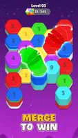 Hexa Sort 3D: Trò Chơi Xếp Màu ảnh chụp màn hình 2
