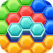 Hexa Puzzle Fun Block Puzzle