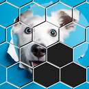 Hexa Sort Puzzle APK