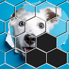 Hexa Sort Puzzle icône