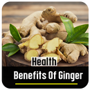 Health Benefits Of Ginger APK
