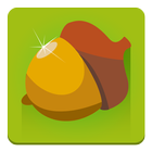 Wild Nuts - best squirrel game icon