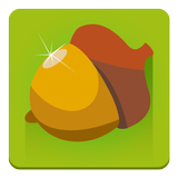Wild Nuts - best squirrel game icon