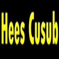 Hees Cusub Hindi songs
