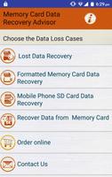 Memory Card Recovery & Repair  Plakat