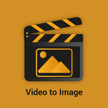Video to Image