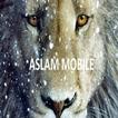 Aslam Mobile