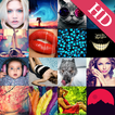 100,000+ Wallpapers HD(Best 4K Wallpaper App)