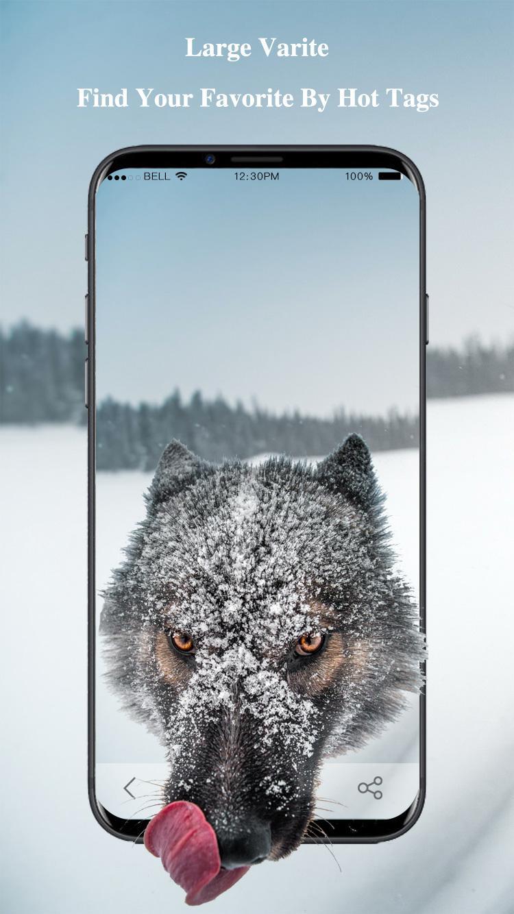 100,000+ Wallpapers HD(Best 4K Wallpaper App) APK برای دانلود اندروید