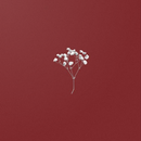 Red Aesthetic Wallpaper HD APK