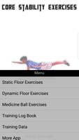 Core Stability Exercises скриншот 1