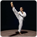 Taekwondo Basic Motions APK