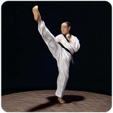 Taekwondo Basic Motions icône