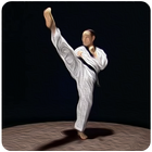 Taekwondo Basic Motions 圖標