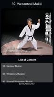 Taekwondo Basic Motions 截圖 3