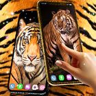 Tiger live wallpaper icône