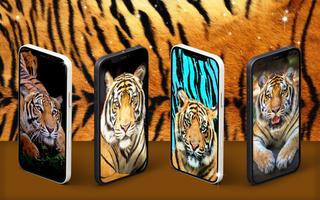 Tiger live wallpaper постер