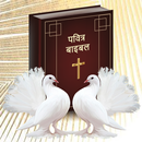 Bible Hindi APK