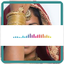 Hindu music for all tastes APK