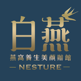 ikon 白燕 Nesture