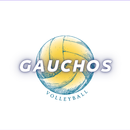 Gauchos Volleyball APK